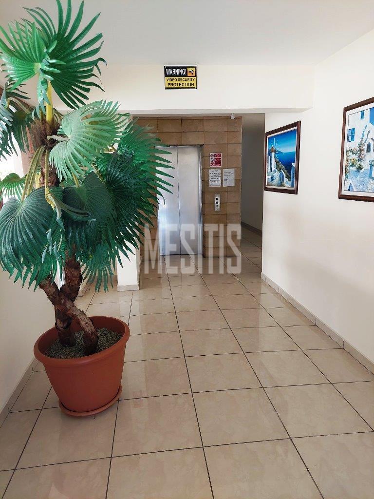 For Rent Beautiful And Comfortable 1 Bedroom Apartment Near University Of Nicosia In Makedonitissa_34433
