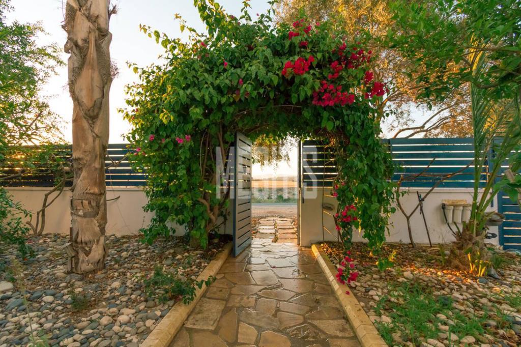 Beachfront 3 Bedroom Amazing House For Sale In Zygi - With Swimming Pool_13304