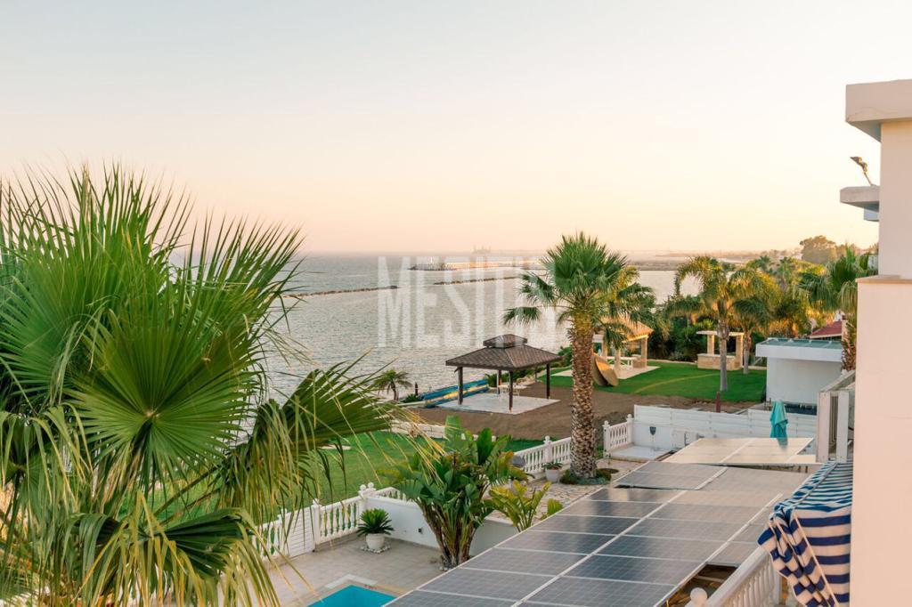 Beachfront 3 Bedroom Amazing House For Sale In Zygi - With Swimming Pool_13304