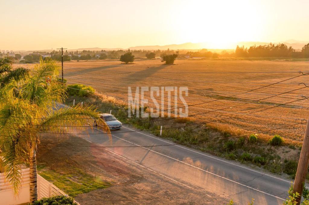 Beachfront 3 Bedroom Amazing House For Sale In Zygi - With Swimming Pool_13304