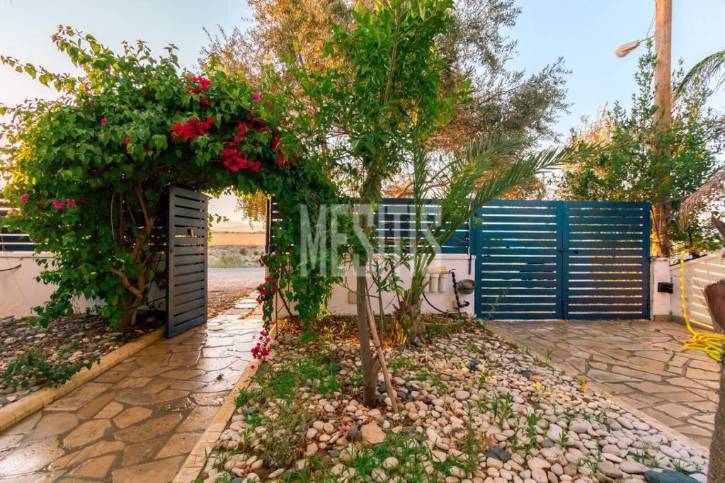 Beachfront 3 Bedroom Amazing House For Sale In Zygi - With Swimming Pool_13304