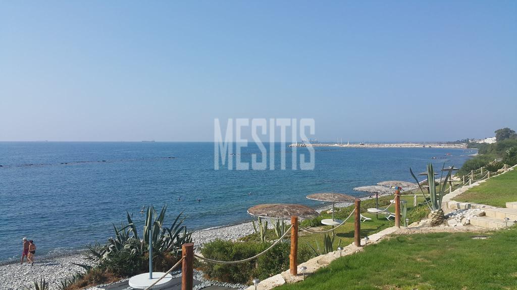 Beachfront 3 Bedroom Amazing House For Sale In Zygi - With Swimming Pool_13304