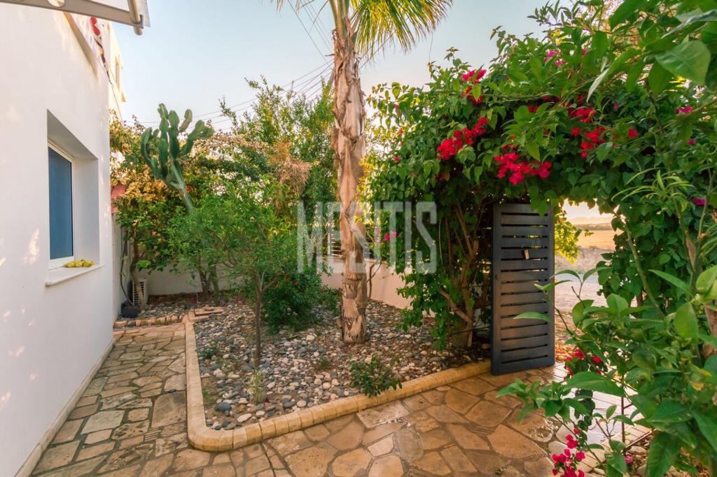 Beachfront 3 Bedroom Amazing House For Sale In Zygi - With Swimming Pool_13304