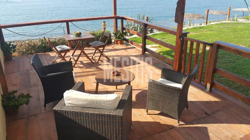 Beachfront 3 Bedroom Amazing House For Sale In Zygi - With Swimming Pool_13304