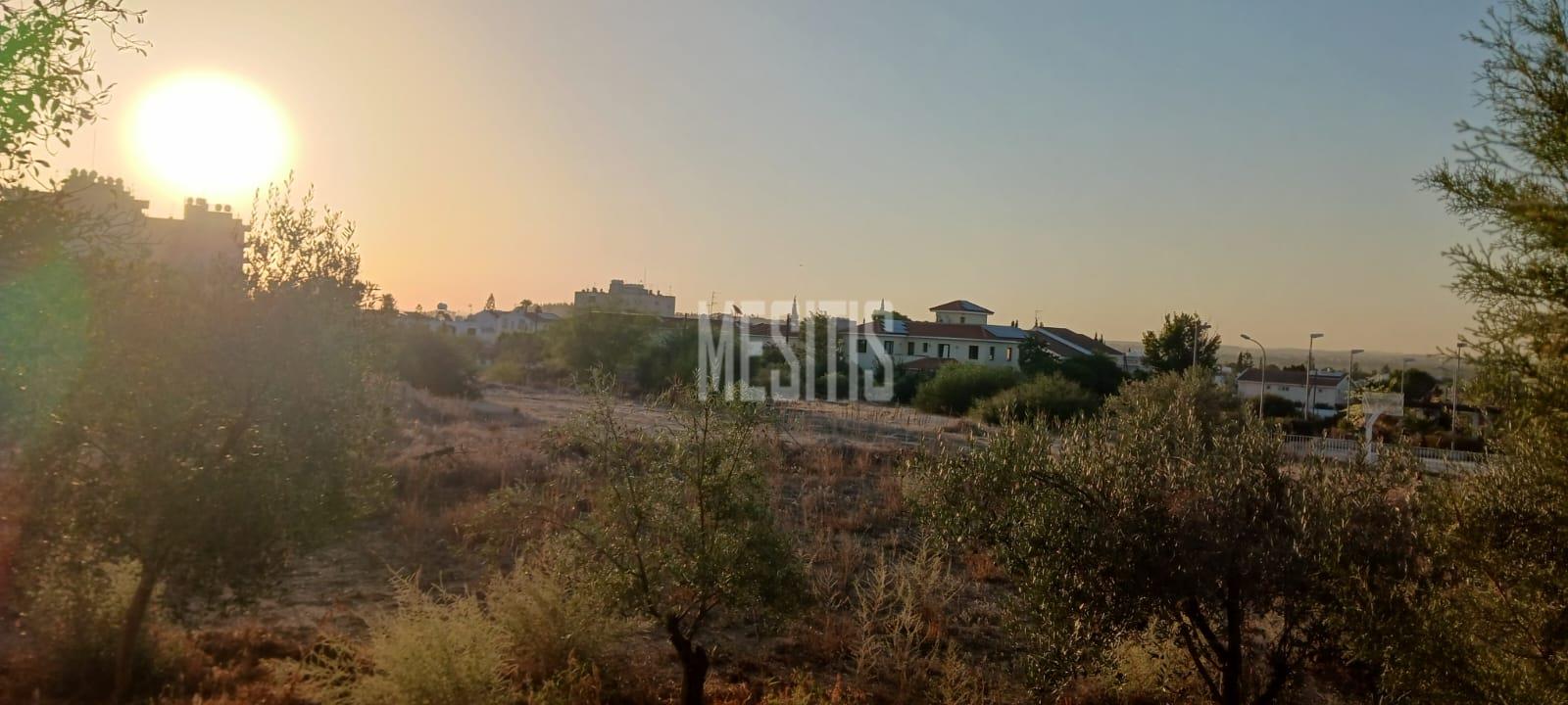 Large 3 Bedroom House For Sale In Platy Aglantzias, Nicosia - Adjacent To Forest Government Land At The Back And Facing A Park_28020