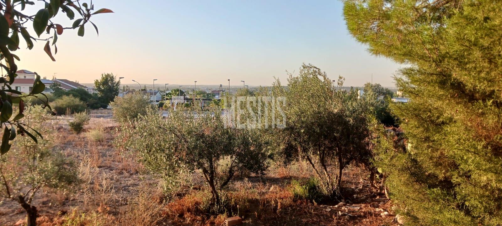 Large 3 Bedroom House For Sale In Platy Aglantzias, Nicosia - Adjacent To Forest Government Land At The Back And Facing A Park_28020