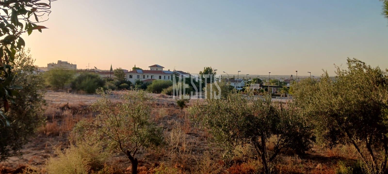 Large 3 Bedroom House For Sale In Platy Aglantzias, Nicosia - Adjacent To Forest Government Land At The Back And Facing A Park_28020