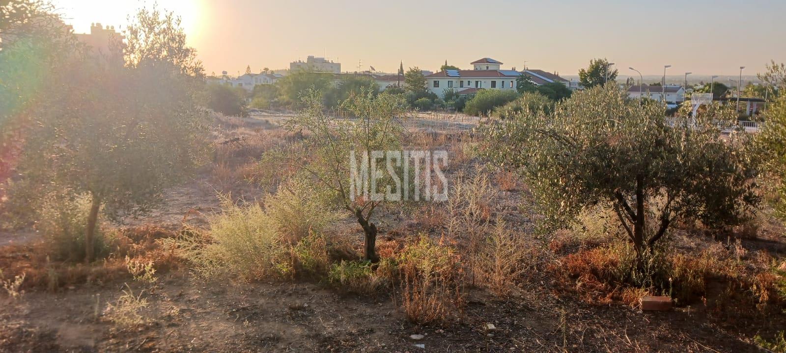Large 3 Bedroom House For Sale In Platy Aglantzias, Nicosia - Adjacent To Forest Government Land At The Back And Facing A Park_28020