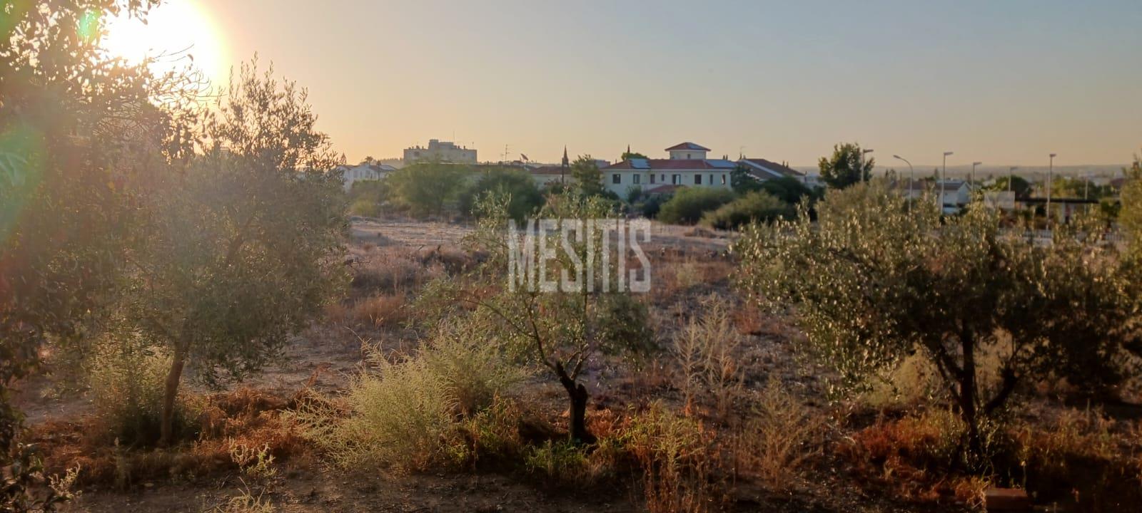Large 3 Bedroom House For Sale In Platy Aglantzias, Nicosia - Adjacent To Forest Government Land At The Back And Facing A Park_28020