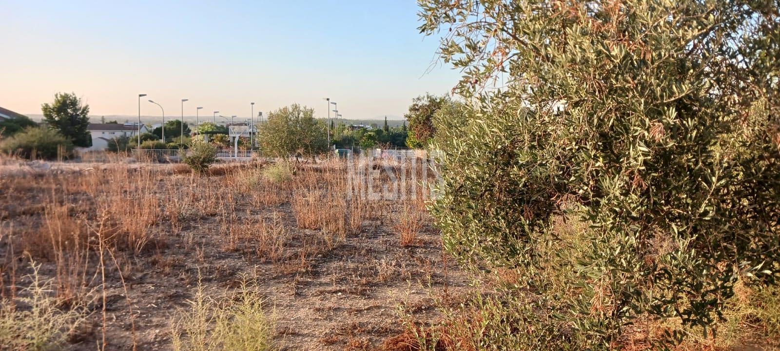 Large 3 Bedroom House For Sale In Platy Aglantzias, Nicosia - Adjacent To Forest Government Land At The Back And Facing A Park_28020