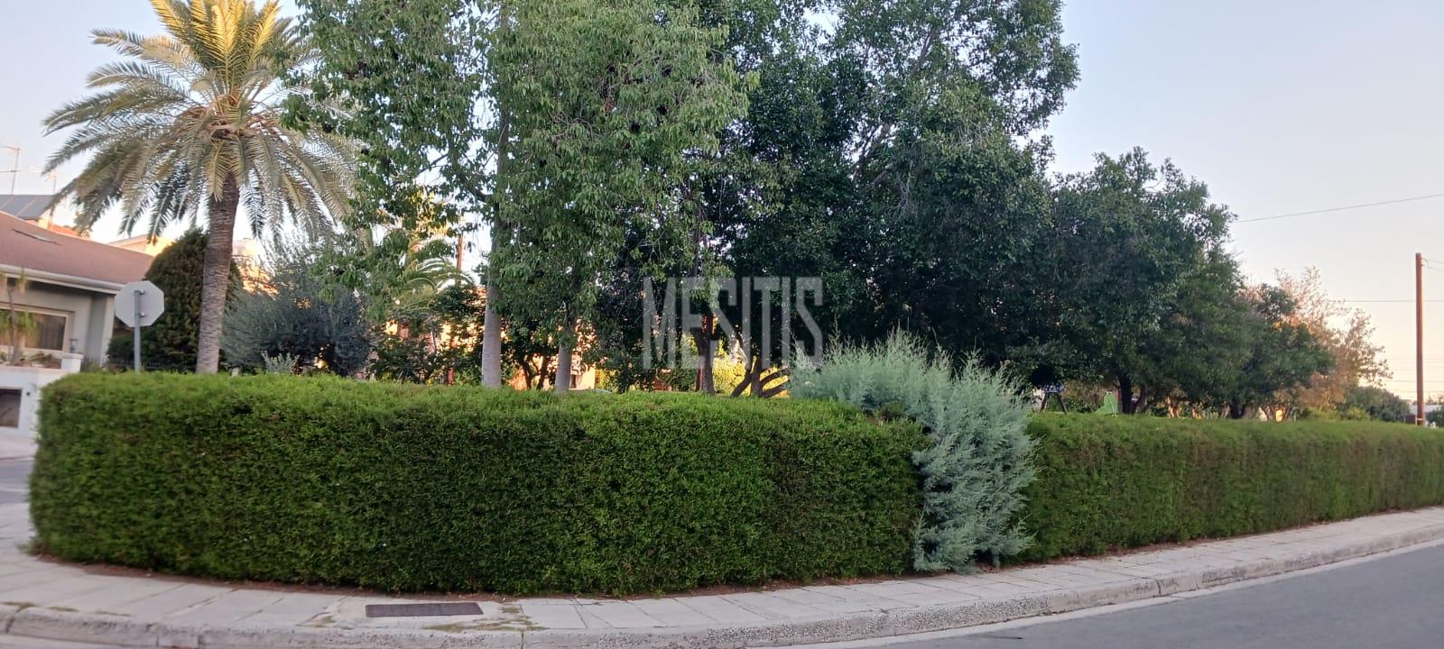 Large 3 Bedroom House For Sale In Platy Aglantzias, Nicosia - Adjacent To Forest Government Land At The Back And Facing A Park_28020