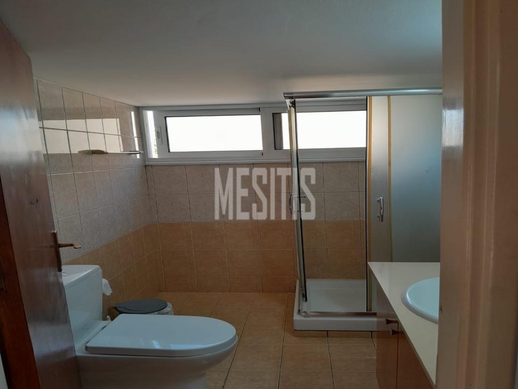 1 Bedroom Apartment For Rent In Larnaca_27888