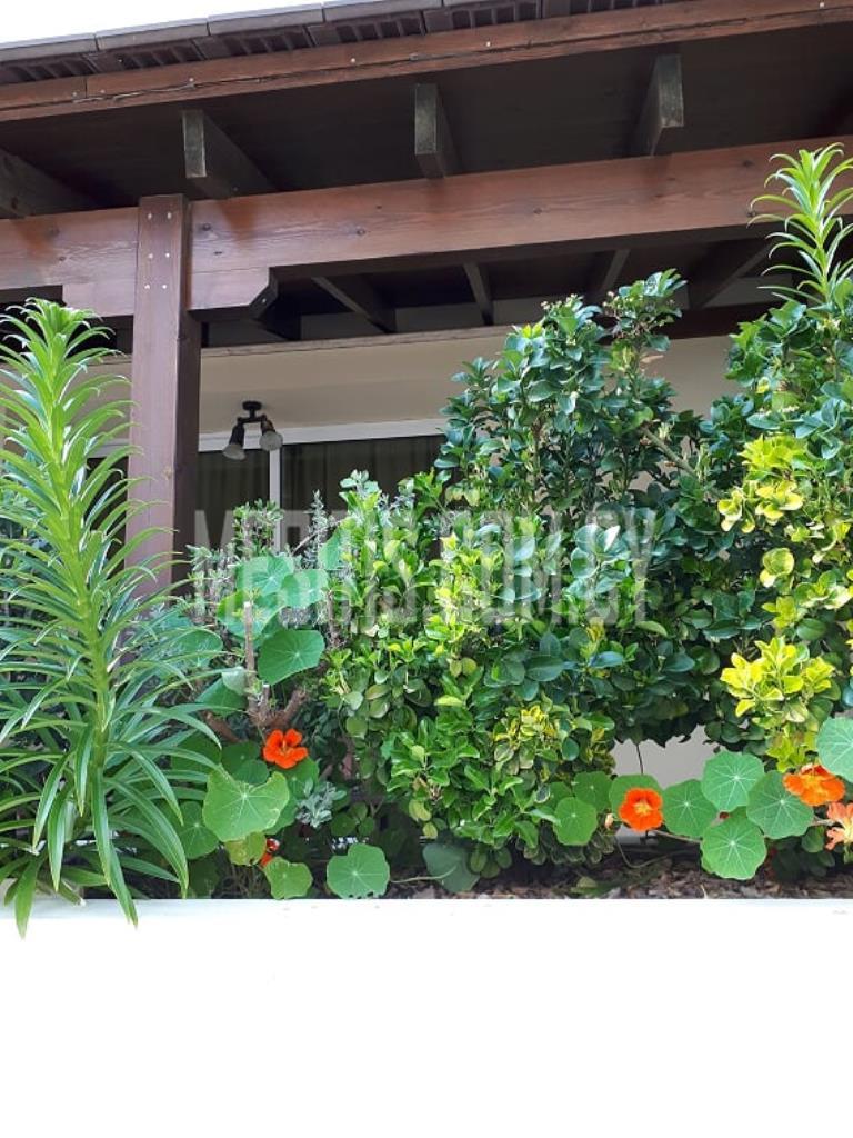 2 Bedroom House For Rent In Pallouriotissa In Nicosia_3877